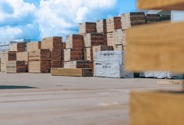 ALA LIGNEA SIA, kokzāģētava