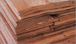 BOHMAN RIGA HARDWOODS SIA, CĒLKOKI, NAŽFINIERI, ACCOYA