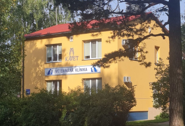 KAVET SIA, pilna servisa veterinārā klīnika Rīgā