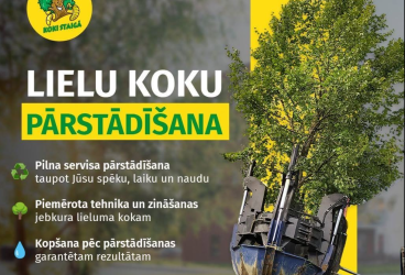 KOKI STAIGĀ SIA, lielo koku pārstādīšana visā Baltijā