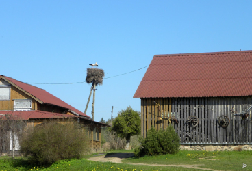 SALIŅAS ZS, viesu mājas