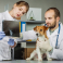 IKAROSS IK, Iļģuciema veterinārā klīnika