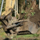 SSB Timber SIA, meižizstrāde, ceļu darbi, zemes darbi