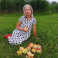 Ziede EVIJA, SIA Evija Original 