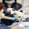 Zobārstniecības klīnika DENTAL PLUSS 22