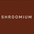 INTERNETA VEIKALI - SHROOMIUM.EU, internetveikals