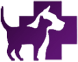 Dzīvnieku ķirurǵija - Solvitas Zvirgzdiņas veterinārā prakse Tukumā