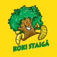 KOKI STAIGĀ SIA, 1189.lv katalogs