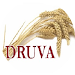 Lauksaimniecības SIA Druva, 1189.lv каталог