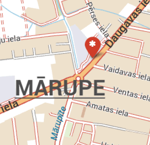 ALA LIGNEA SIA, kokmateriāli, 1189.lv