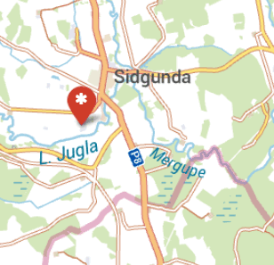 ALA LIGNEA SIA, kokzāģētava, 1189.lv