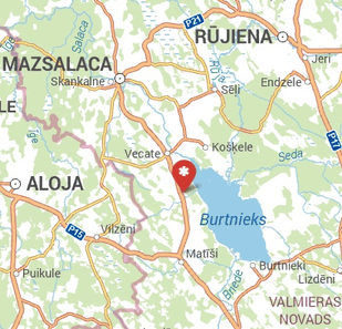 VIDZEMES LOGI SIA, 1189.lv