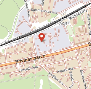 Balons Tev SIA, baloni svētkiem un dāvanām, 1189.lv