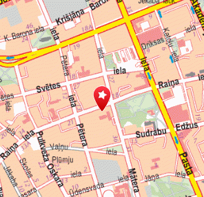 21. gs mazulis attīstības centrs, 1189.lv