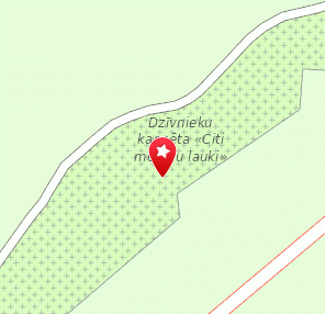 Citi Medību lauki dzīvnieku kapsēta, 1960, 1189.lv