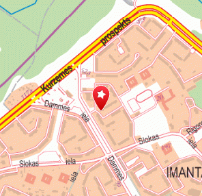 Dammes tirgus, Ringo-JS, 1189.lv