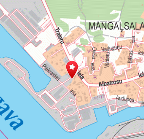 Erka Sports trenažieru zāle, Erka V, 1189.lv