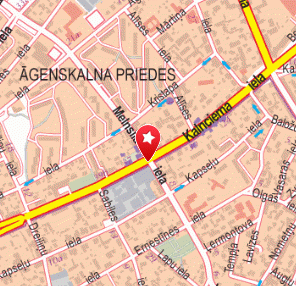 Assa Abloy Baltic, 1189.lv