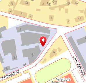 Alphabet Professional Translating Services, 1189.lv