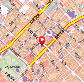 Dace Čākure, 1189.lv