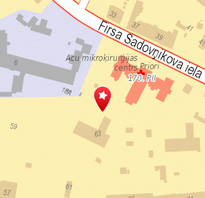 Privātbērnudārzs Dūda, Projekts Pepija, 1189.lv