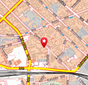 Dr. Beinerts SIA, Diennakts veterinārā aptieka, 1189.lv