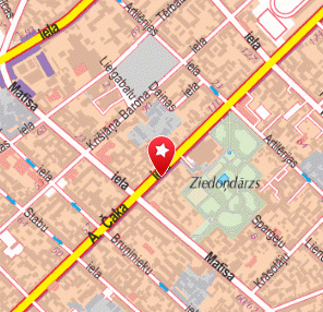 Ingas Fuksas ārsta pakse homeopātijā un ajūrvēdas medicīnas metodē, 1189.lv