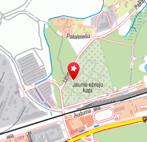 Jaunā Ebreju kapsēta, 1189.lv