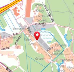 Vitrum Color SIA, puvlerkrāsošana, 1189.lv