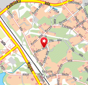 Birzes brīvdienu māja, 1189.lv