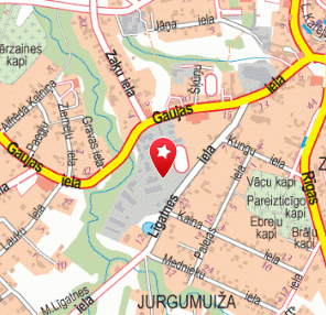 Cēsu audzināšanas iestāde nepilngadīgajiem, 1189.lv