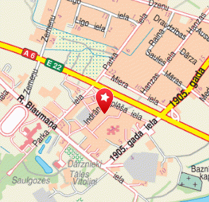 Anna veikals, Kokneses Anna, 1189.lv