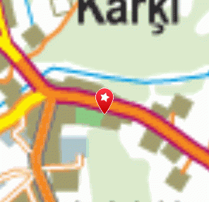 A. Kārkliņas doktorāts, 1189.lv
