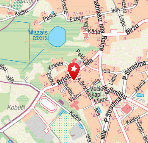 Jēkabpils mūzikas skola, Viesītes filiāle, 1189.lv