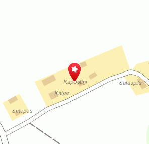 Dole Marine, 1189.lv