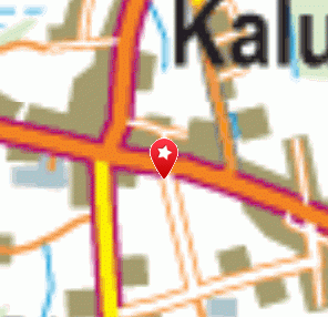 Veikals Elvi, Antaris SIA, 1189.lv