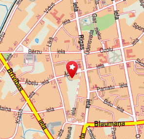 Datu apstrādes centrs, 1189.lv