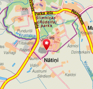 Balvu un Gulbenes slimnīcu apvienība SIA, Gulbenes slimnīca, 1189.lv